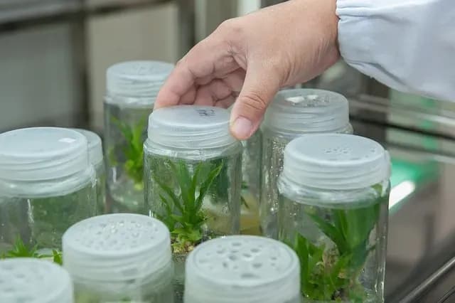 Czy po biotechnologii można uczyć w szkole? Sprawdź wymagania nauczycieli Czy po biotechnologii można uczyć w szkole? Sprawdź wymagania nauczycieli
